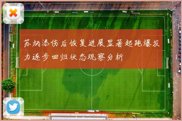 苏炳添伤后恢复进展显著起跑爆发力逐步回归状态观察分析