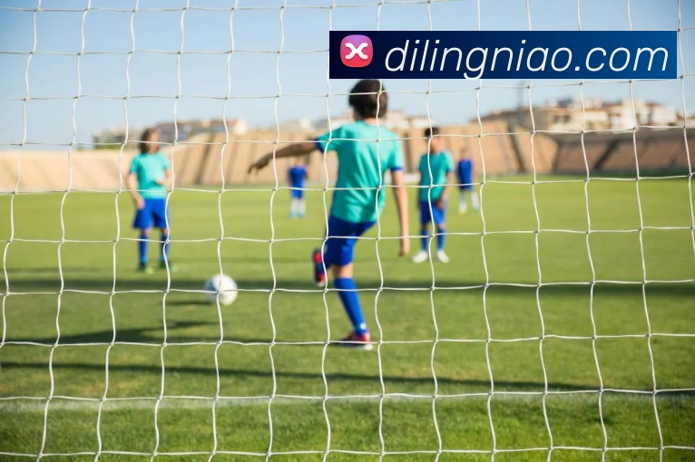 线上买球平台生态图